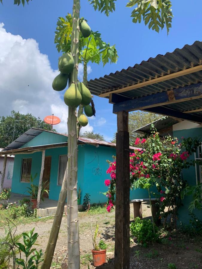 Alba House Villa Puerto Jiménez Екстериор снимка